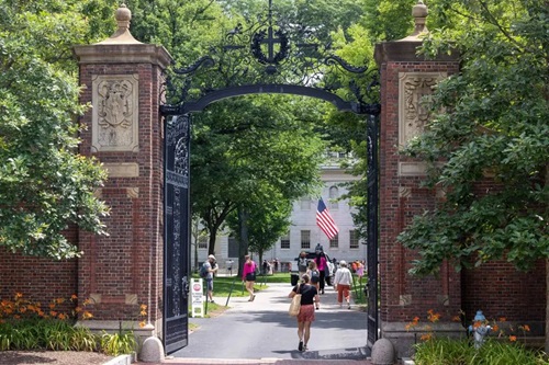 Harvard University