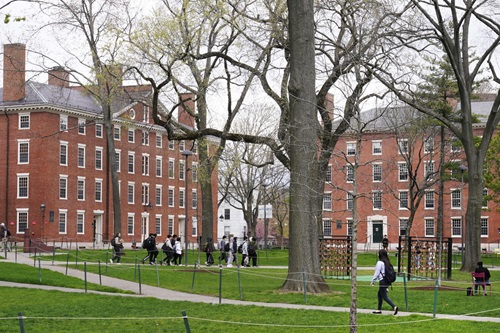 Harvard University