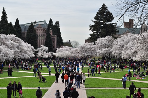 University of Washington (UW)