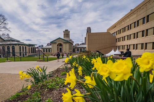 The higher learning institutions, select the Carnegie Mellon University abbreviated as CMU